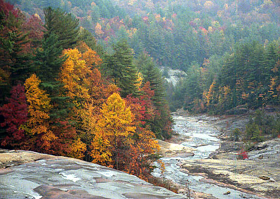 Condo Entry - Lake Toxaway, NC - North Carolina Mountain Vacation Rental Accommodations - In the Blue Ridge Smokey Mountains!